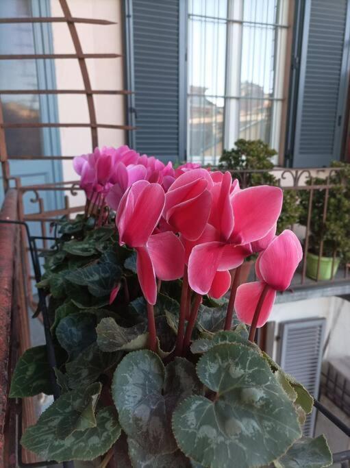 Pane E Tulipani, Cozy Apartment Near City Center Turyn Zewnętrze zdjęcie